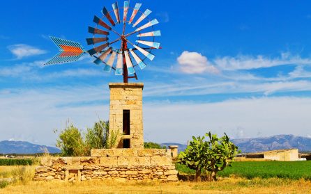 Välkommen till Mallorca – och kort vandring till Paguera image