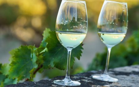 Lätt vandring till Cala Pi – lunch och vinbodega image