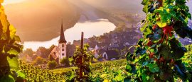 Flodkryssning på vackra Mosel och Rhen thumbnail