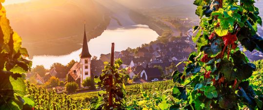 Flodkryssning på vackra Mosel och Rhen hero image