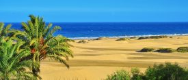 PRO Höstträff 2026 på Gran Canaria – 8 dagar thumbnail