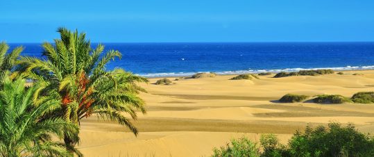 PRO Höstträff 2026 på Gran Canaria – 15 dagar hero image