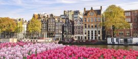 Flodkryssning • Blommande Holland thumbnail
