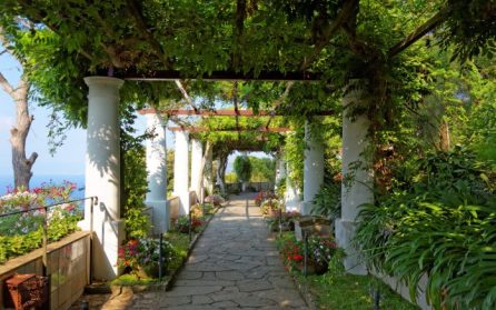 Capri i Axel Munthes fotspår image