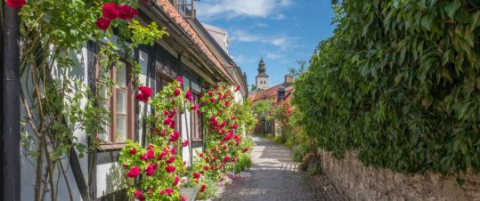 SOLO-Kryssning till Visby med M/S Birka Gotland hero image