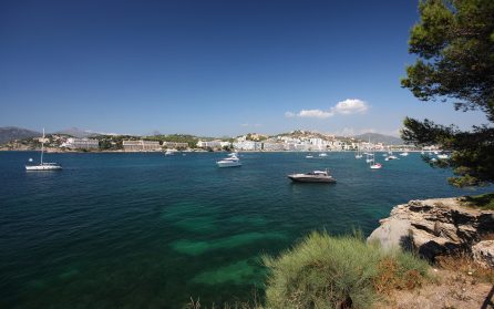 Ankomst till Palma image