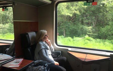 Tågresa från Hamburg till Sverige image