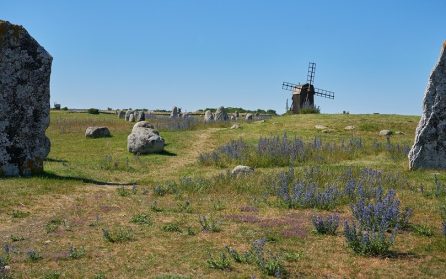 Mer bridge – och möjlighet att testa att spela boule image