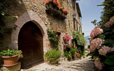 Lätt vandring i Montefalco och besök i Assisi image