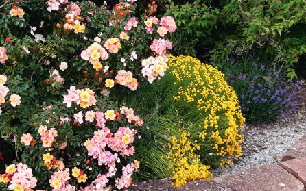 Resan till Öland image