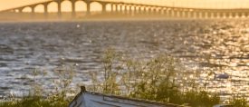 Upptäck fåglarna på Öland thumbnail