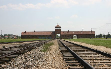 Auschwitz-Birkenau  image