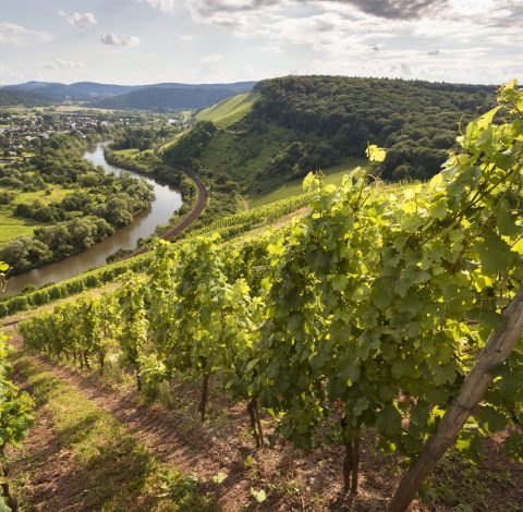 Flodkryssning hero background image