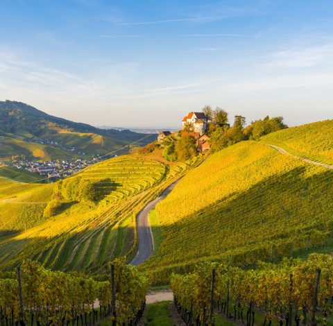 Frankrike  hero background image