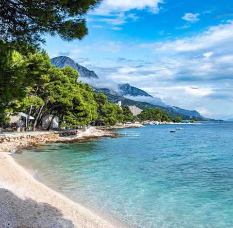 Färdledare hero background image