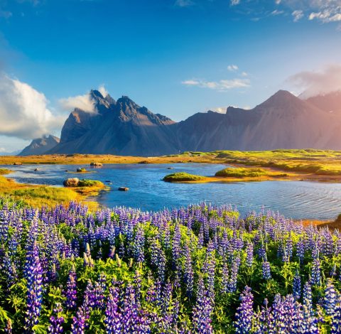 Island hero background image