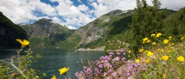 Norge thumbnail