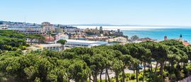 Portugal thumbnail