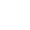 Julstjärna