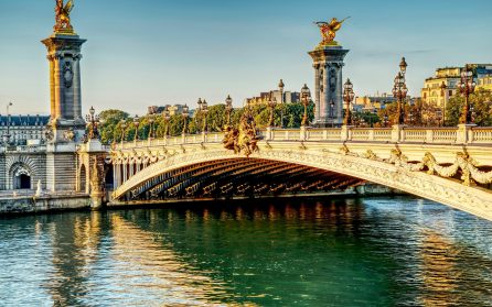 Au revoir, Paris image