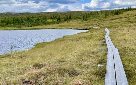 Vandring, lunch och hemresa image