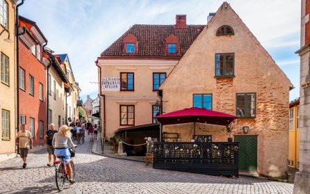 Gotland - heldag i Visby image