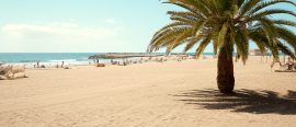 PRO Höstträff 2025 på Gran Canaria – 15 dagar thumbnail