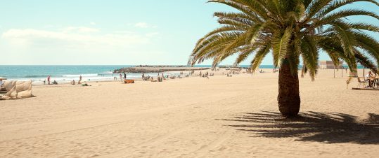 PRO Höstträff 2025 på Gran Canaria – 15 dagar hero image
