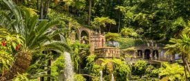 Generationsresa till magiska Madeira thumbnail