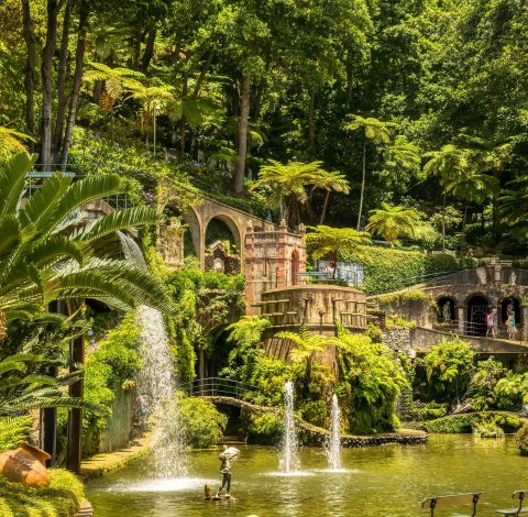 Färdledare hero background image