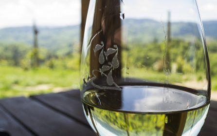 The Old Frascati Wine Tour  image