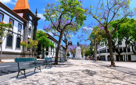 Stadspromenad i charmiga Funchal med besök i saluhallen image