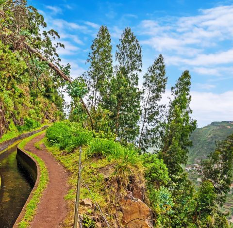 Färdledare hero background image