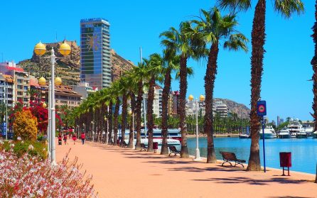 Flyg till Alicante med transfer till hotellet image