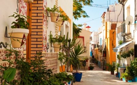 En dag på egen hand image