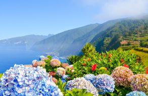 Aktuellt just nu thumbnail