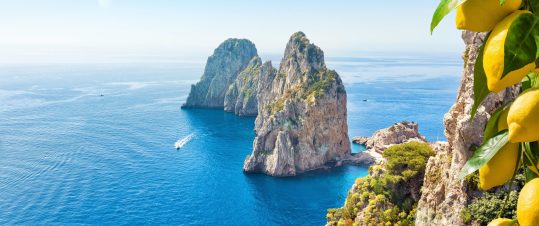 Vackra Sorrento med Capri och Pompeji hero image