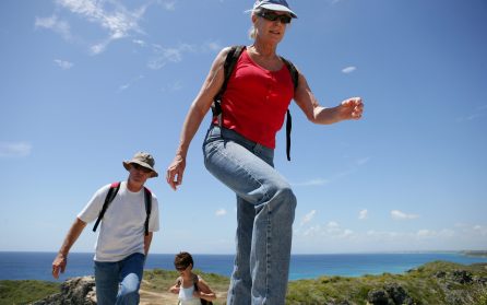 Postvägen från Esporles till Bañalbufar image