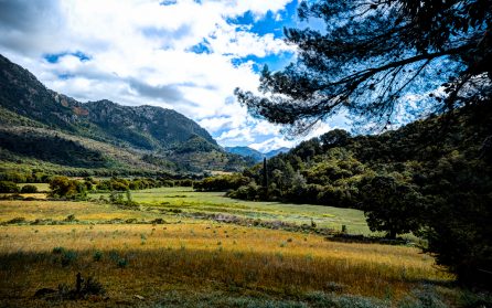 Vandring till Castillo de Alaró image