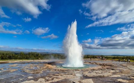 Rundtur i Reykjavik  image