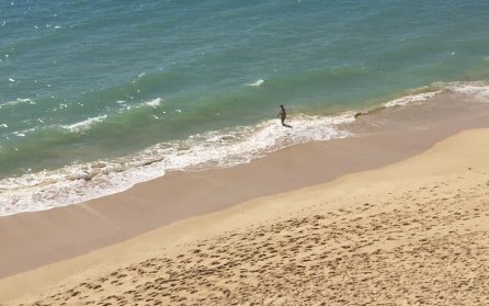 Ankomstdagen och resterande program image