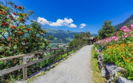 Härlig tur till charmiga grannbyn Bad Hofgastein image
