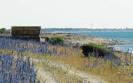 Hemresa till Stockholm image